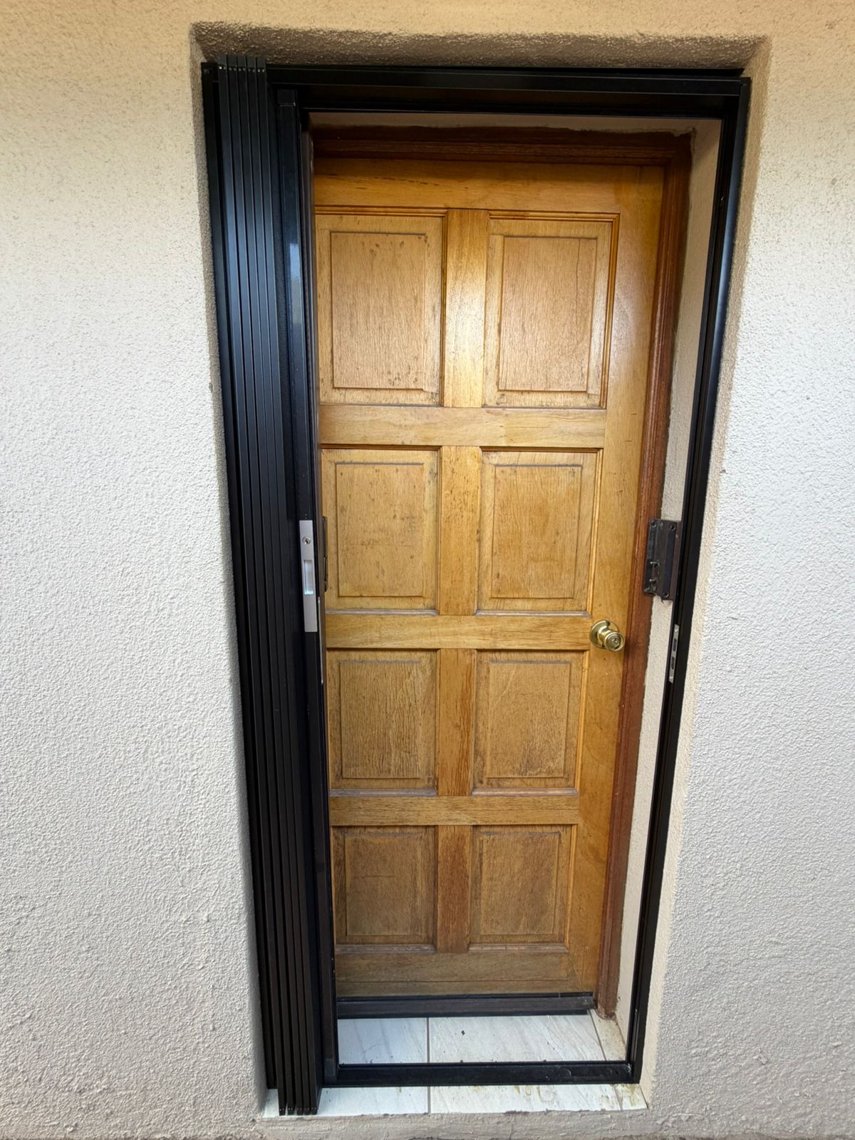 Pet Screen fitted to a residential doorway 1
